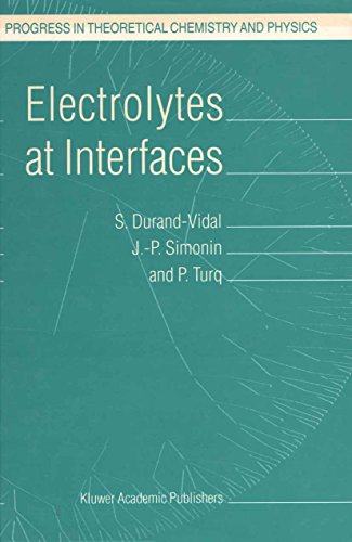 Electrolytes at Interfaces (Progress in Theoretical Chemistry and Physics Book 1)