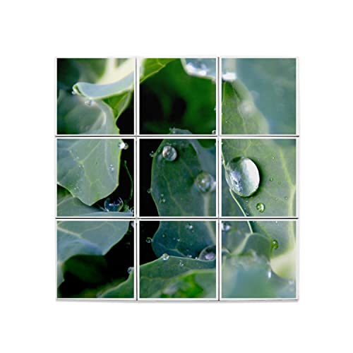Carreaux céramique gouttes de rosée 45x45cm pour fresque murale