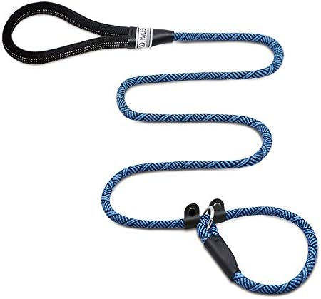 Wellbro Slip Lead Dog Leash, 6 ft Reflective Nylon Rope Leash with Two Leather Slides, Easy to Slip On/Off, Perfect for Control of Medium/Large Dogs (Blue)