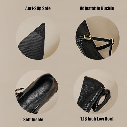 Women's Pointed Toe Low Chunky Heel T-Strap Mary Janes with Ankle Strap Buckle Fashion Pu Comfortable Cut Out Low Block Heel Non Slip Wedding Dress Pumps Casual Office Work Formal Shoes3