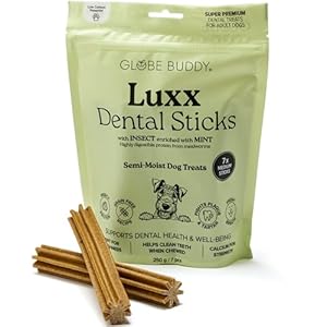 Globe Buddy Luxx Dental Sticks 250g