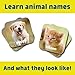Chuckle & Roar - Matching Game Baby Animals - Board Game for Kids 3 and up - Concentration Skill Development for Toddlers - Ages 3 and Up