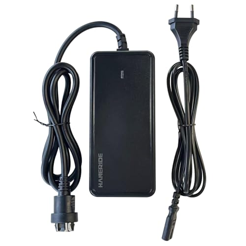 HANERIDE Caricatore da 2 A per batterie Bosch di Performance e Active Line, compatibile con Haibike KTM Kalkhoff Flyer Bergamont Ghost Trek Ebike con motore Bosch