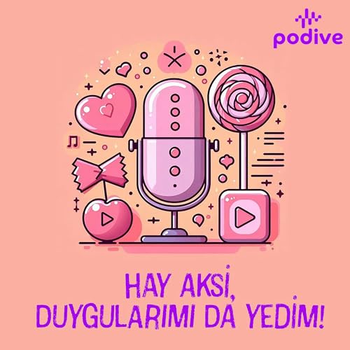 Hay Aksi, Duygularımı da Yedim! cover art