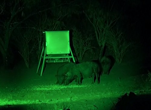 Elusive Wildlife Blind Sider X2 Motion Activated Feeder & Bait Light (Red) - Thumbnail 7