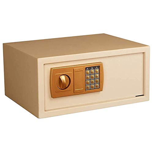 Fichier de bureau mural CLSDRZC cash storage locker pour la maison