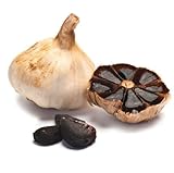 metechondra