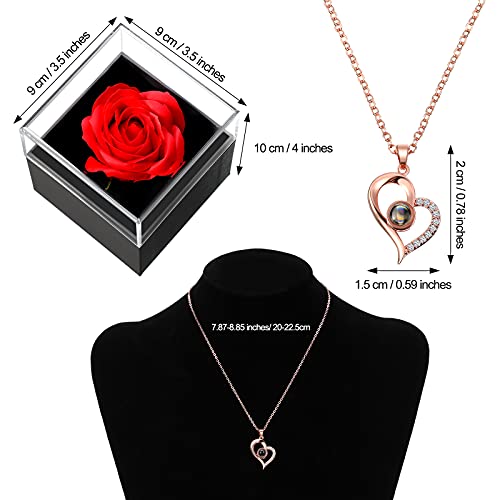 Hicarer I Love You Necklace 100 Languages Projection Heart Pendant Necklace Crystal Loving Memory Collarbone Necklace With Red Rose Jewelry Storage Box For Women Girls Valentine's Day Gift () #TOP2