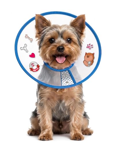 Image of SILVER GRADE Dog Cone Collar for Puppies & Toy Breeds, Size M, 12.2-14.2 in