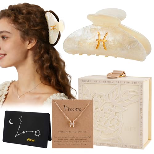 Pisces Zodiac Gift Set with Necklace and Hair Claw