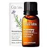 Gya Labs Rosemary Oil for Hair & Scalp – 100% Natural Rosemary Essential Oils for Hair, Skin & Diffuser (0.34 fl oz)