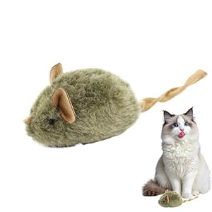 Generisch Plüsch Katzenminze Maus Spielzeug