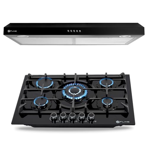 Listado de Parrilla y Campana , listamos los 10 mejores. 44 FLINE | Combo parrilla de gas y Campana Acero Inoxidable | vidrio templado y acero negro | negra 80 cm| 5 quemadores | 3 velocidades | OP5ABR80