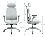DAYALANE Ergonomiczne krzesło biurowe z regulowanym zagłówkiem, podparcie lędźwiowe, podnoszony podłokietnik, obrotowe krzesło komputerowe do domu, nauki, pracy (szary)