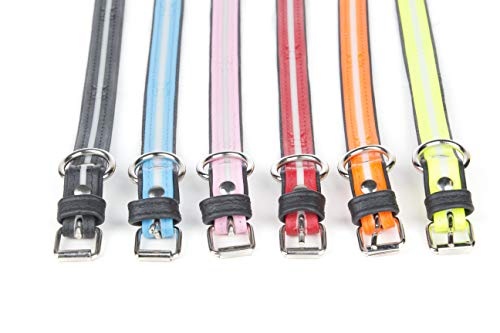 Julius-K9 Collare IDC Lumino Fosforescente, 25 mm