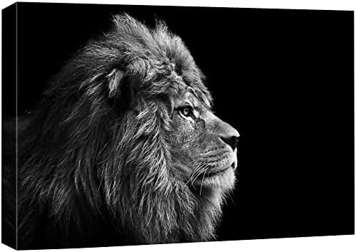 wall26 Canvas Wall Art - A Lion on Balck Background - Giclee Print Gallery Wrap Modern Home Art Ready to Hang - 24x36 inches