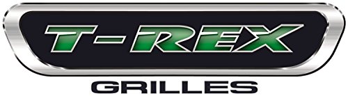 Image of Compatible with Ford Billet Grille, Polished, 1 Pc, Insert - PN #20560