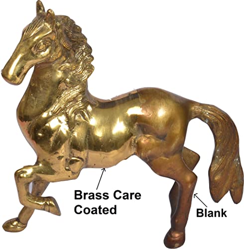 BRASS CARE Anti-tarnishing lacquer (500)