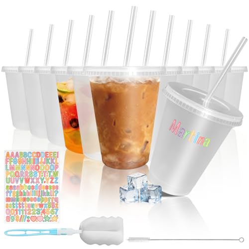 15 Pack 480ml Clear Plastic Cups With Lids and Straws 16oz Reusable Cold Cup with Sticker and Brush  Kids Leakproof Water Cups for Childrens Birthday Party or Boda Coffee Mactha Cocktail Takeaway