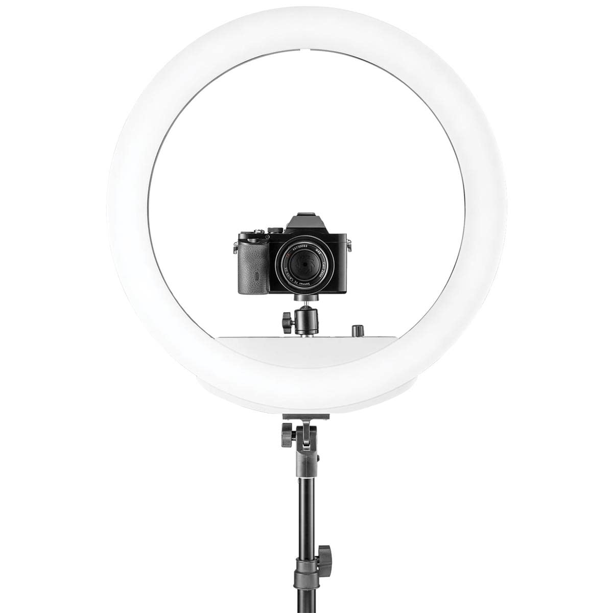 Westcott 18" Bi-Color LED Ring Light Kit with Batteries & Stand - With Extra Light Stand