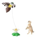 [Base stable] : la base du jouet interactif pour chat est en plastique, qui est durable et robuste pour une utilisation à long terme. La base large et lourde le rend stable pour que votre chat joue. Et le jouet interactif pour chat ne glissera pas, même si votre chat est trop actif pour attaquer le papillon volant.