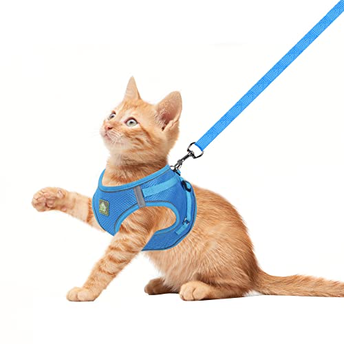 FEimaX Hundegeschirr mit Leine für Kleine Mittele Hunde Katzen Weich Mesh Welpengeschirr Atmungsaktive Brustgeschirr Verstellbare Reflektierend No Pull Weste Chihuahua Katze
