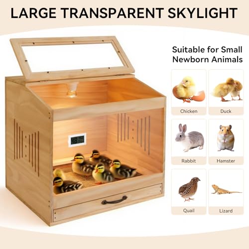 IKILEOGY Brooder Box for Chicks with Heat Lamp Kit & Thermometer - Wooden Chicken Brooder for 12 Chicks Indoor/Outdoor - Baby Chicken Cage for Ducks, Quails, Hamsters, Lizards by IKILEOGY - Image 6