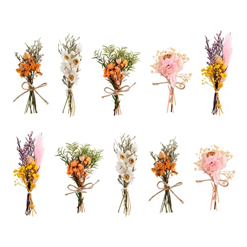 10PCS Mini Ramilletes de Flores Secas para Manualidades miniatura 5