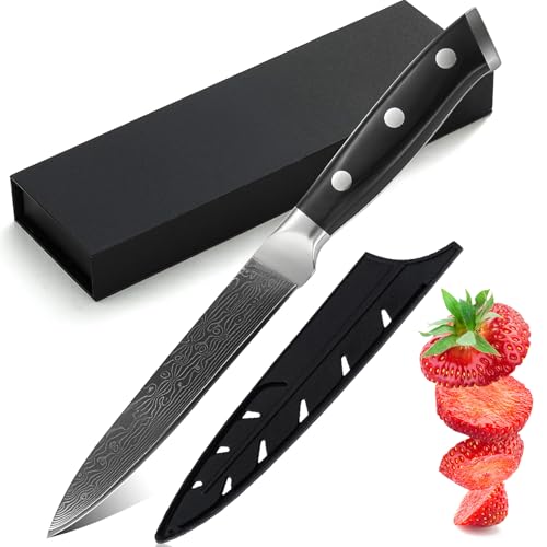 Utaki 果物・野菜小刀 小包丁 4.1寸フルーツナイフ・125mm 【Kalista・カリスタV】 49層渦巻白波紋ダマスカス 8Cr17MoVステンレス鋼芯材 3本ステンレス鋲本通り強化積層木柄