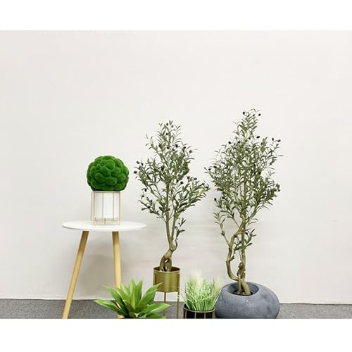 [LJKI] l tFCNO[ lHϗtA I[u̖ S 120cm ȒP { ygȂϗtA sv Q̐SzȂ A  CeAO[ ^ a    ItBX z[