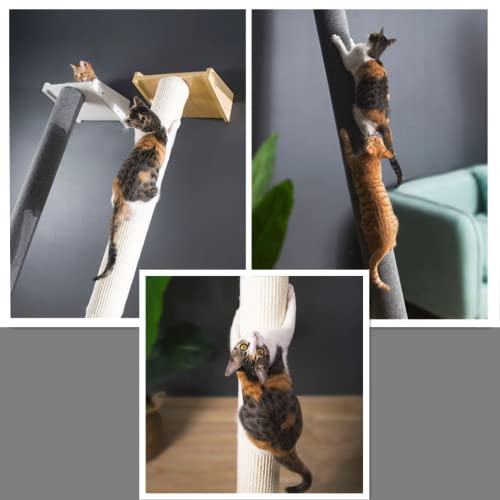 Torre para gatos moderna vertical con rascador y cama miniatura 3