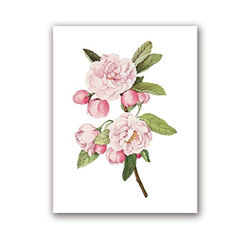Affiches sur toile fleurs blanches lot de 2 tableaux muraux 40x60 - 2