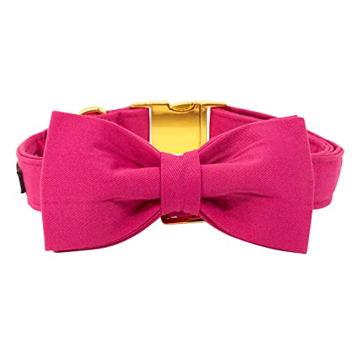 Unique style paws Dog Collar with Bowtie - Image 4
