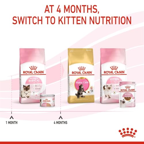 Royal Canin Mother & Babycat Mousse | 12 x 195 g | Alleinfuttermittel für Katzen | Speziell für die Mutterkatze und ihre Welpen | Zur Unterstützung der körpereigenen Abwehrkräfte