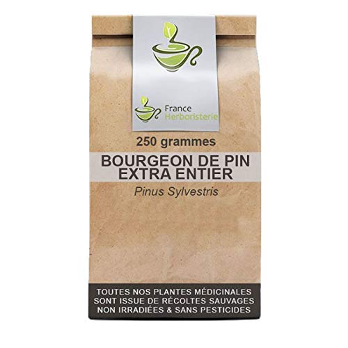 France Herboristerie Tisane Bourgeon de Pin Extra Entier