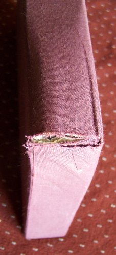 Pastime 0399136304 Book Cover