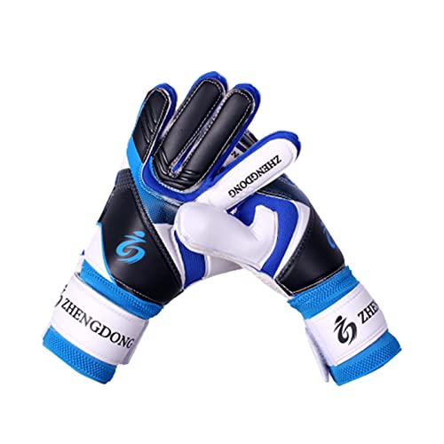 SCHEKNTS S[L[p[O[u [XTbJ[g[jOO[u G{XH ~ ebNX ߉\ȃXgoh u[ TCY9