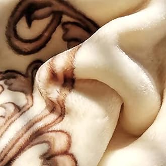 LGYKUMEG 11 lbs Heavy Korean Mink Blanket King Size 85 x 95 inch Silky Soft and Warm, 2 Ply Raschel Bed Blanket for The Cold Night.