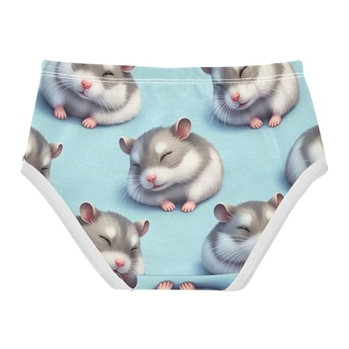 Stylish Toddler Underwear Floral 2t Cotton Girl Panties Cute Cute Cartoon Hamsters Blue Undies Kids Briefs2
