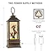 10'' Lighted Cardinal Music Snow Globe Water Lantern with Swirling Glitter Decoration for Christmas Home, Living Room, Battery Operated or USB Powered
