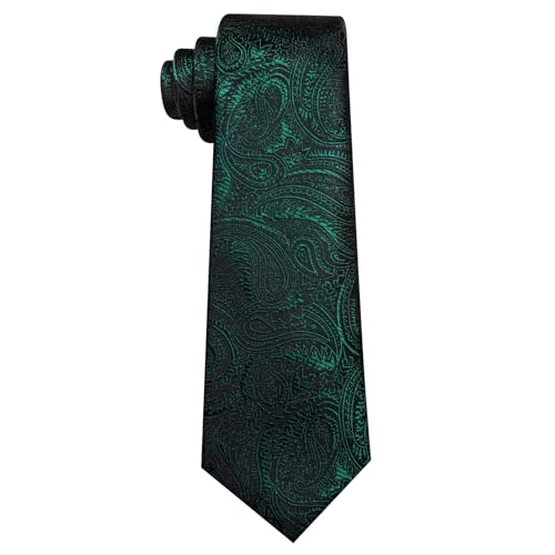 Image of Barry.Wang Paisley Tie for Men Silk Woven Necktie and Tie Clip Set Wedding Party Business Formal