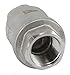 Duda Energy VCV-WOG1000-F050 Vertical Check Valve, 304 Stainless Steel, 1/2