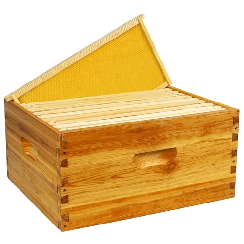 BeeQuestify 10 Frame Deep Brood Box Langstroth Bee Hive Box Dipped in Beeswax Sections of Wood for Beehives Include Beehive Frames and Wax Foundations (Yellow Unassembled)
