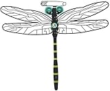 () おにやんま君