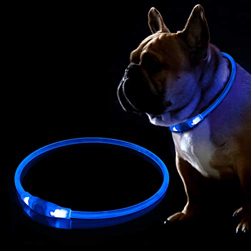 KABB Collier pour Chien LED Rechargeable par USB - Collier Clignotant pour la sécurité la Nuit - Réglable, étanche et Lumineux - Taille Unique - Bleu