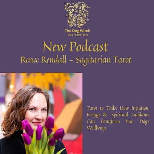 From Tarot to Tails: How Intuition, Energy & Spiritual Guidance Can Transform Your Dog&rsquo;s Wellbeing