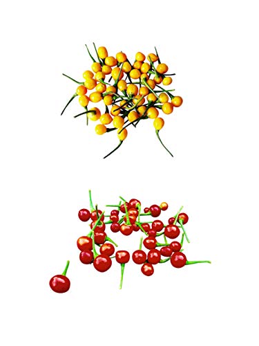 Wildchili Samen Sortiment Aji Charapita Chili Samen, Gelb & Rot, je 10 Stück, Outdoor-Pflanze, 100 cm Wuchshöhe