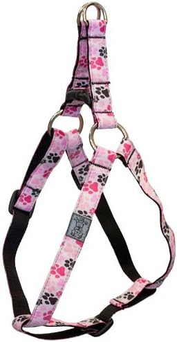 RC Pet Products 3/4-Inch Step in Dog Harness, Medium, 16-28-Inch, Pitter Patter Pink