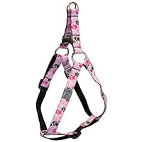 Algopix Similar Product 16 - RC Pet Products 34Inch Step in Dog