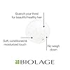 Biolage Hydra Source Shampoo | Hydrates & Moisturizes Dry Hair | Helps Repair Split Ends | Paraben-Free | For Dry Hair | Salon Shampoo | Weightless, Soft Finish | Vegan | Cruelty Free | 13.5 Fl. Oz